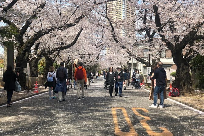 Tokyo Spring Daytime (Cherry Blossom) Food Tour - Yanaka Cemetery and the hanami stroll