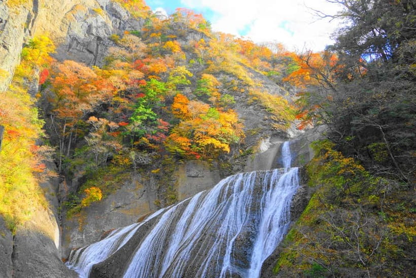 Tokyo: Spring Hitachi Seaside & Ashikaga Flower Park Tour - Who will get the most from this day