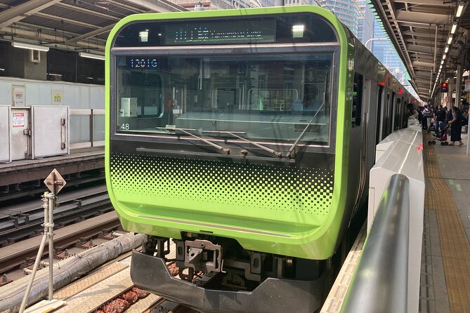Tokyo Station Historical Walking Tour with Food and Anime - Who will get the most from this walk