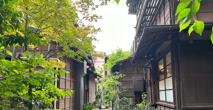 Tokyo:Stroll in Old traditional culture towns~Yanaka & Nezu - Nezu Shrine and its red torii path
