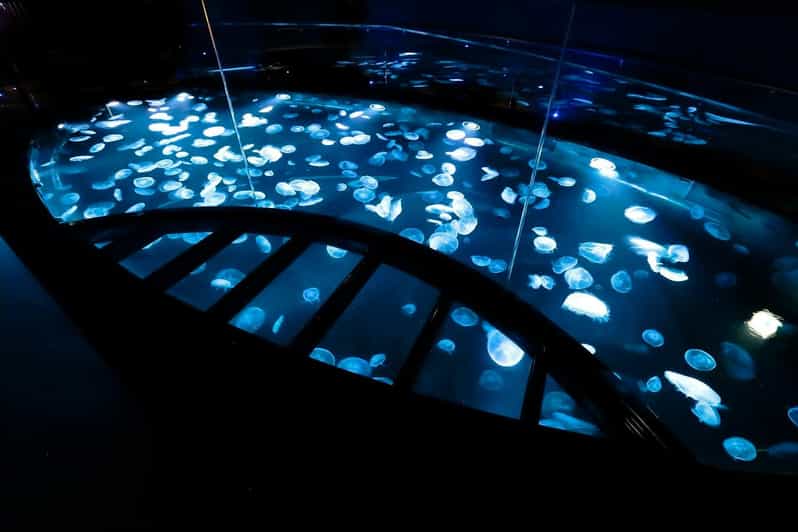 Tokyo: Sumida Aquarium Entry Ticket - Key points at a glance