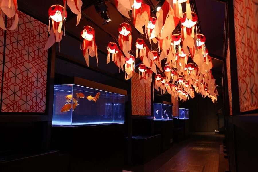 Tokyo: Sumida Aquarium Entry Ticket - The cafe and the value of staying awhile
