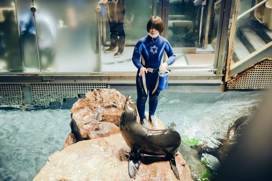 Tokyo: Sumida Aquarium Entry Ticket - When to visit and how much time to allow