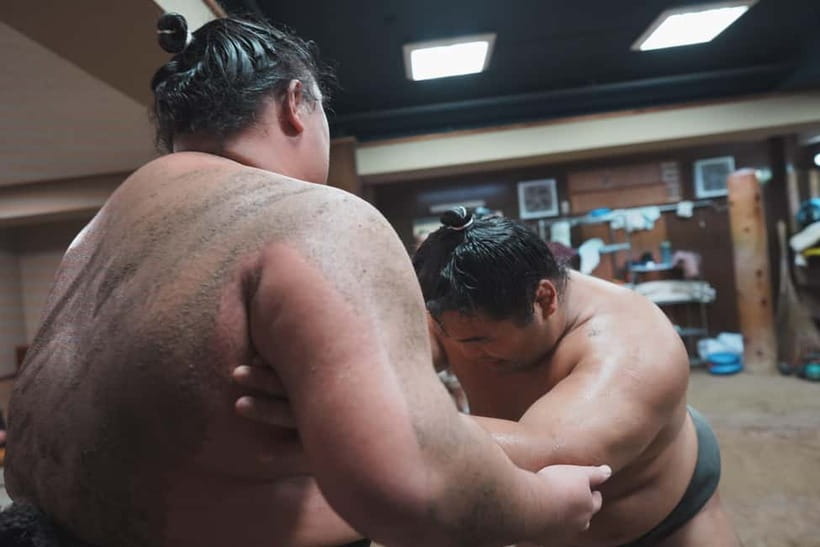 Tokyo: Sumo Keiko Training Tour with Audio Guide & Photo - The wrestler photo and what it adds