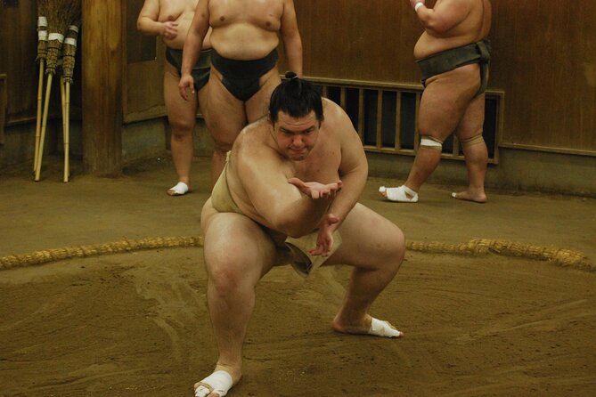 Tokyo: Sumo Morning Practice -Stable Visit Tour with a Guide - Photos and questions after the training