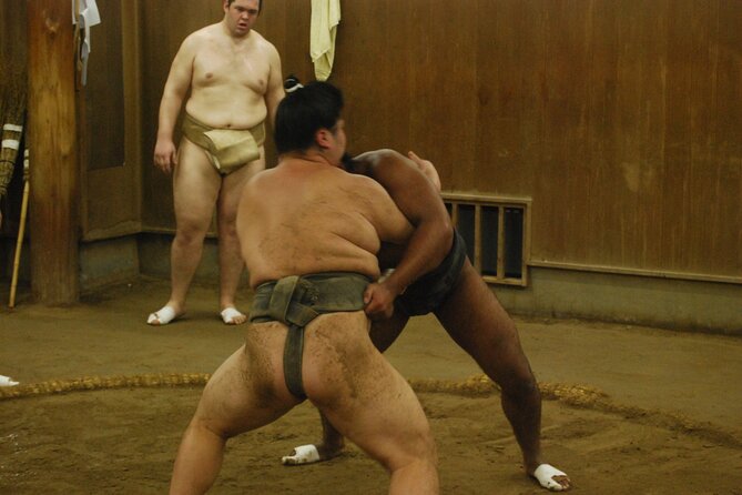Tokyo: Sumo Morning Practice -Stable Visit Tour with a Guide - Is $82 a fair price?
