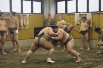 Tokyo Sumo Morning Practice Tour at Stable