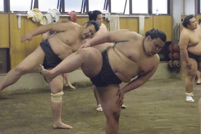 Tokyo Sumo Morning Practice Tour at Stable - Heat, clothing, and stable etiquette
