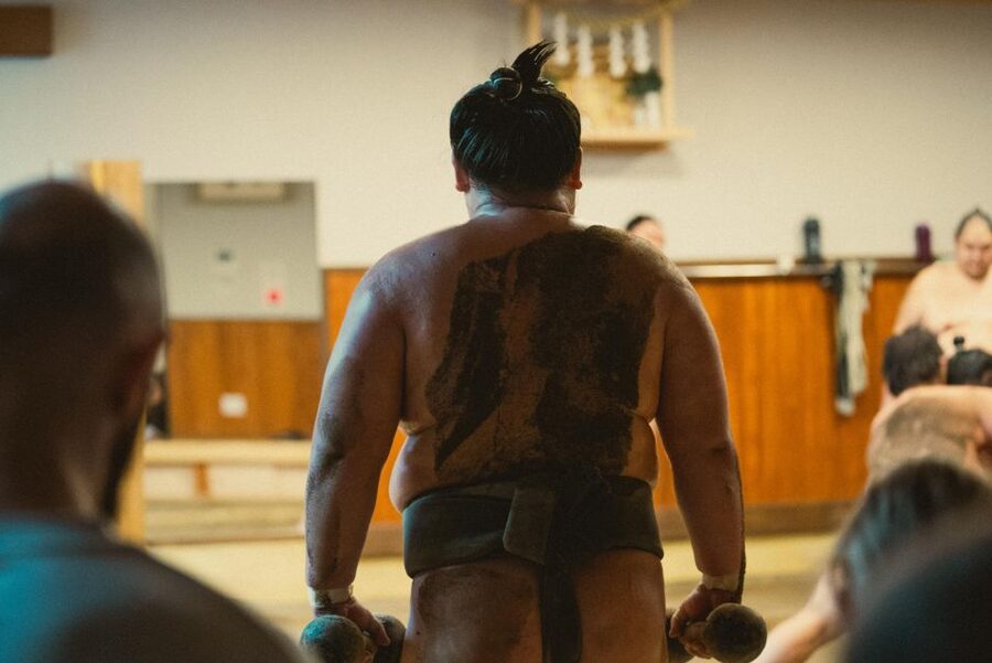 Tokyo: Sumo Morning Practice Tour at Sumida City - Who should book this morning?