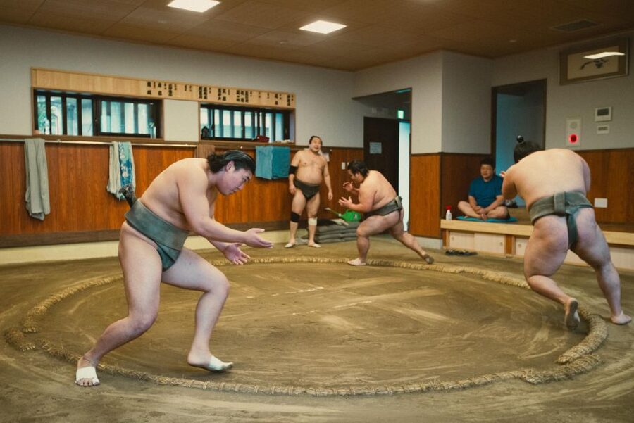 Tokyo: Sumo Morning Practice Tour at Sumida City - Photos with wrestlers, with important limits