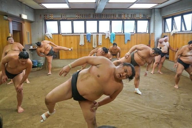 Tokyo Sumo Morning Practice Tour w/ Ring-Side Seat + Photo Shoot - Is $99.10 good value?