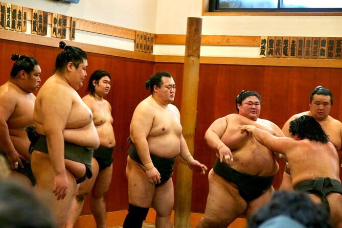 Tokyo Sumo Morning Practice: Viewing & Exclusive Interaction - Starting at Narihira Park in Sumida