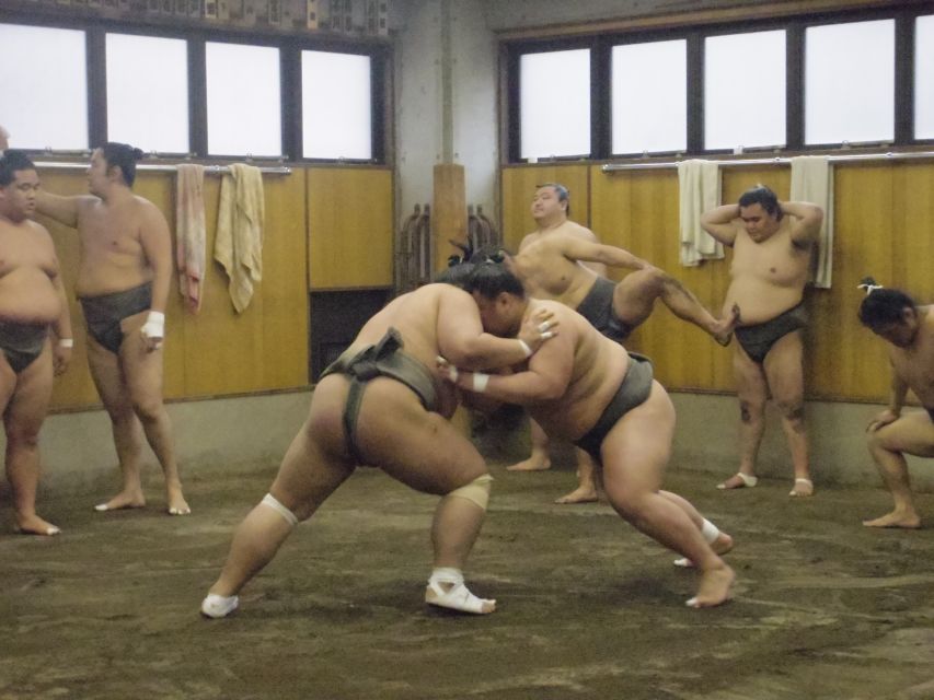 Tokyo: Sumo Morning Practice Viewing Tour - Key points to know before you book