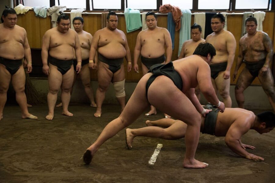 Tokyo: Sumo Morning Practice Viewing Tour - Should you book the sumo morning practice tour?