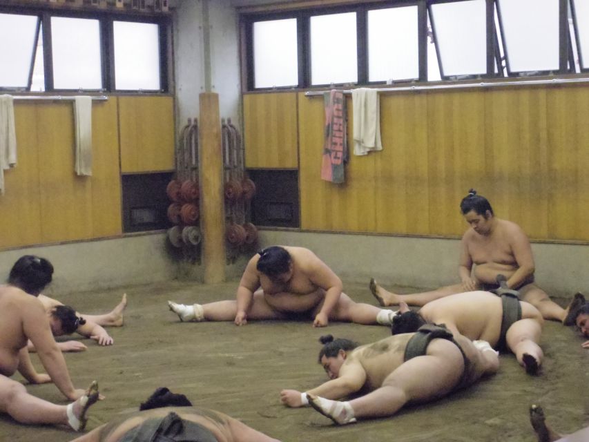 Tokyo: Sumo Morning Practice Viewing Tour - Why watching practice is different from watching a tournament