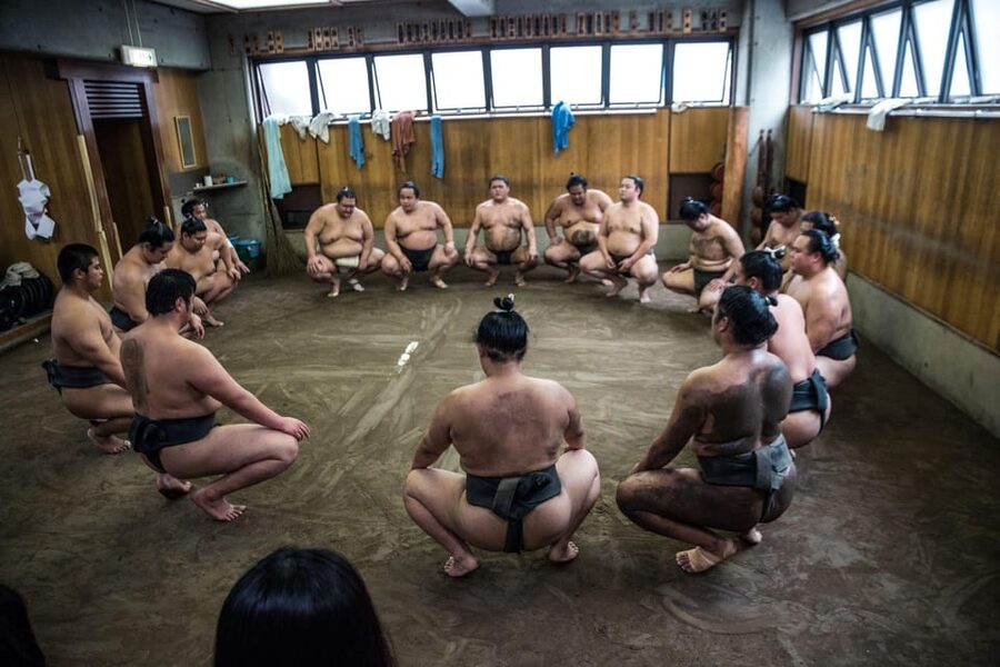 Tokyo: Sumo Morning Practice Viewing Tour - Seating, photographs, and the rules that shape the visit