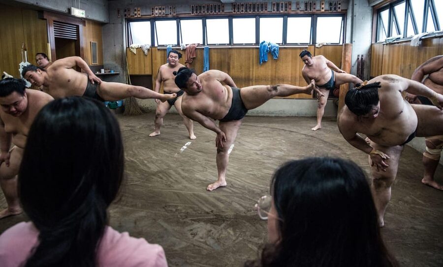 Tokyo: Sumo Morning Practice Viewing Tour - Who will enjoy this morning most?