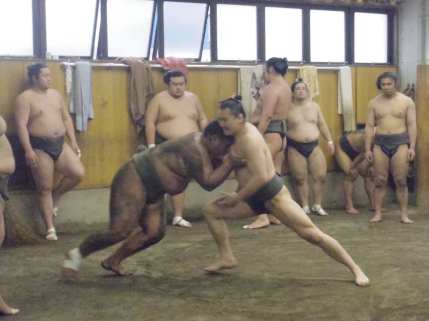 Tokyo: Sumo Morning Practice Viewing Tour - Practical planning for your Tokyo morning