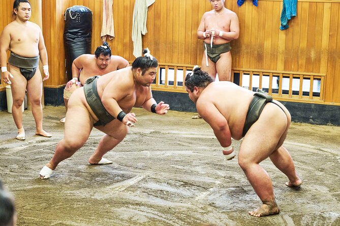 Tokyo: Sumo Morning Practice Viewing Tour at a Real Stable - Why a Real Stable Feels Different From a Sumo Show
