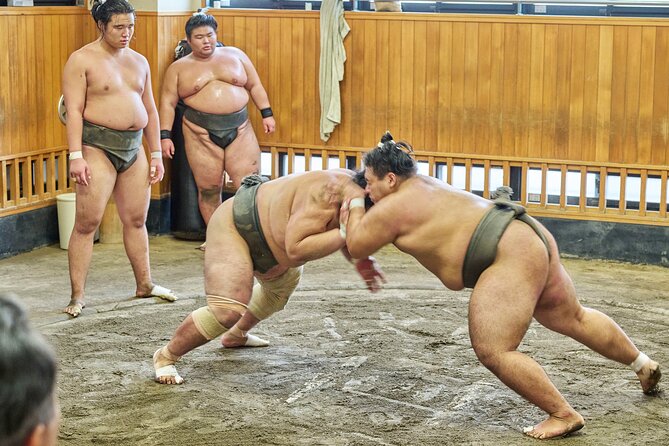 Tokyo: Sumo Morning Practice Viewing Tour at a Real Stable - Meeting at Kiyosumi-Shirakawa at 8:30 am