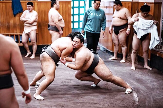 Tokyo: Sumo Morning Practice Viewing Tour at a Real Stable - Cancellation and Booking Flexibility
