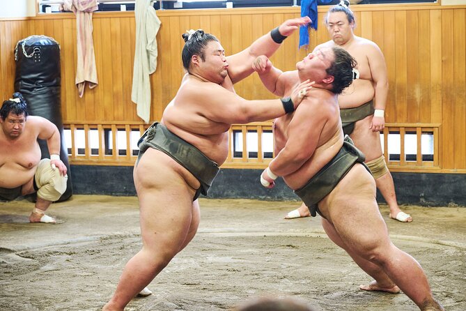 Tokyo: Sumo Morning Practice Viewing Tour at a Real Stable - The guide’s introduction makes the action easier to follow
