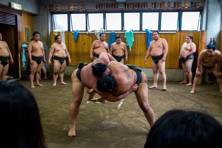 Tokyo: Sumo Morning Practice Viewing Tour - What the 90-minute to two-hour visit is like