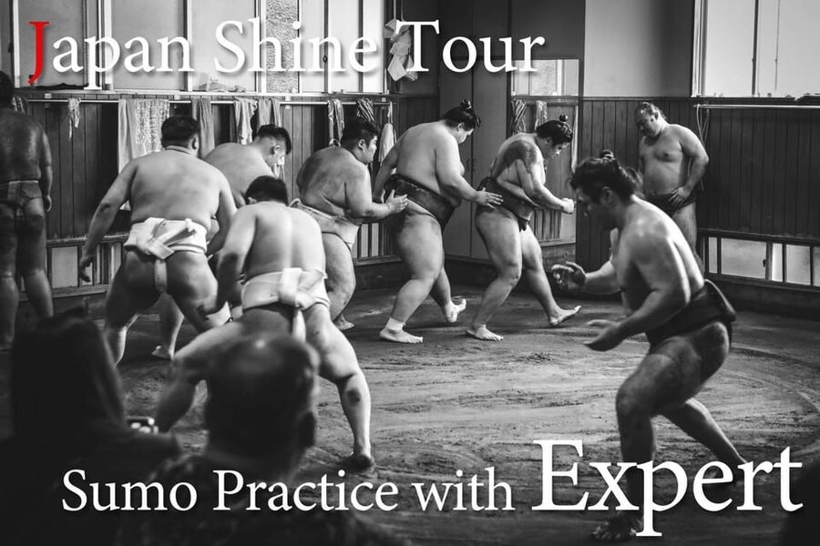 Tokyo: Sumo Morning Practice with journalists. Not fake show - Photos After the Practice