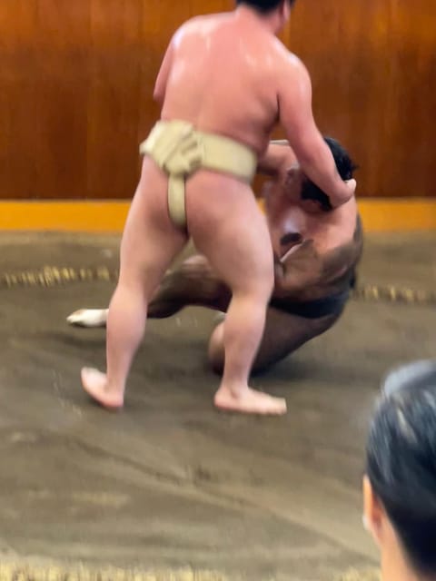 Tokyo: Sumo Morning Practice with Photo Banzuke and Guide - Why a practice session tells you more than a tournament