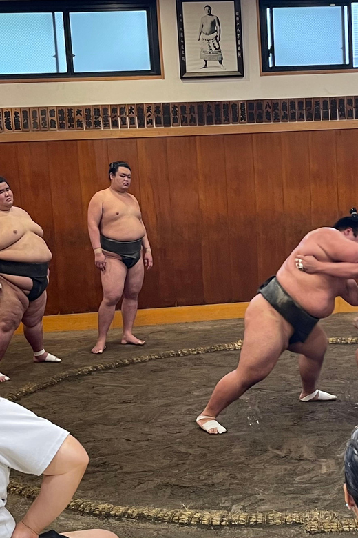 Tokyo: Sumo Morning Practice with Photo Banzuke and Guide - Who will enjoy this most?
