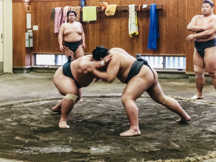 Tokyo: Sumo Morning Training Visit - What you are really seeing inside a sumo stable