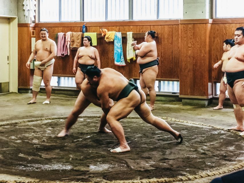 Tokyo: Sumo Morning Training Visit - Watching warm-ups, pushing drills, and sparring