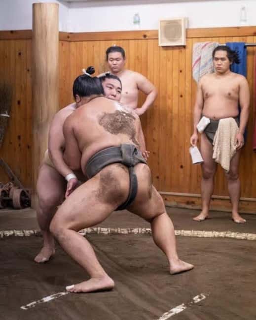 Tokyo: Sumo Show and Experience in Shinjuku - Learning the rules without getting lost