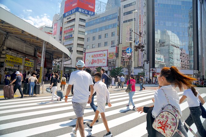 Tokyo Tailored 4 Hours Private Guided Tour - Why this short private tour works in Tokyo
