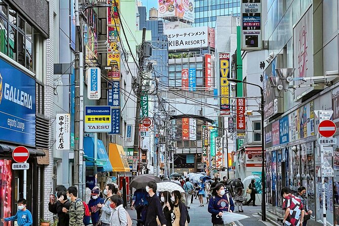Tokyo Tailored 4 Hours Private Guided Tour - Ueno at 35 minutes: a practical market and local shopping