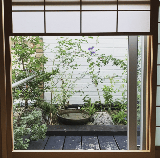 Tokyo: Tea Ceremony Experience in a small tea room - Kimono dressing and other optional extras