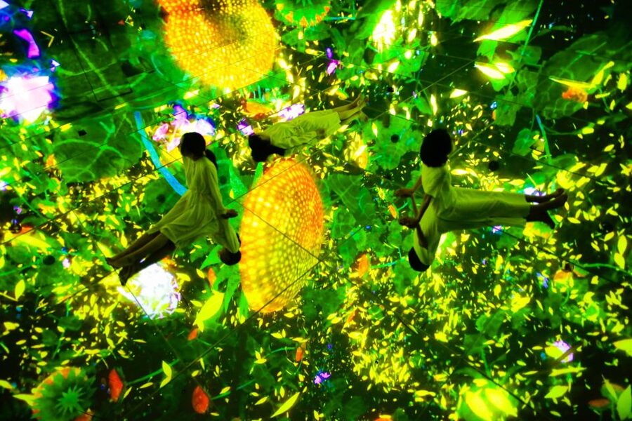 Tokyo: teamLab Planets TOKYO Digital Art Museum Entry Ticket - Falling Flowers and Digital Gardens
