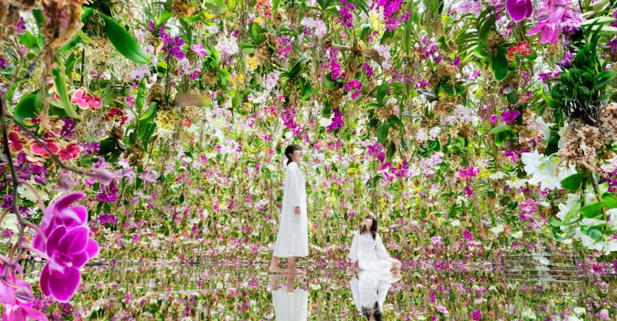 Tokyo: teamLab Planets TOKYO Digital Art Museum Entry Ticket - How the Visit Usually Flows