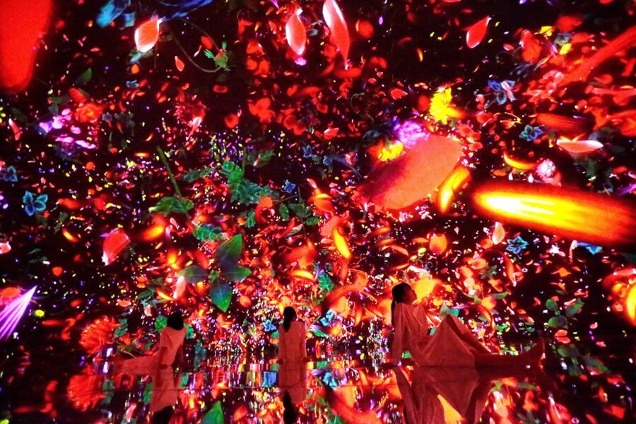 Tokyo: teamLab Planets TOKYO Digital Art Museum Entry Ticket - Timing, Queues, and the Cost of $25