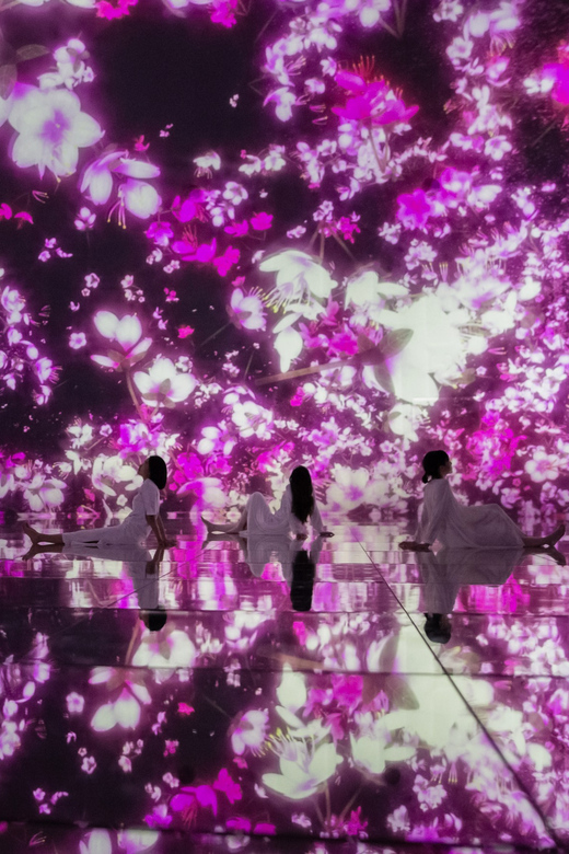 Tokyo: teamLab Planets TOKYO Digital Art Museum Entry Ticket - How Crowds Change the Mood