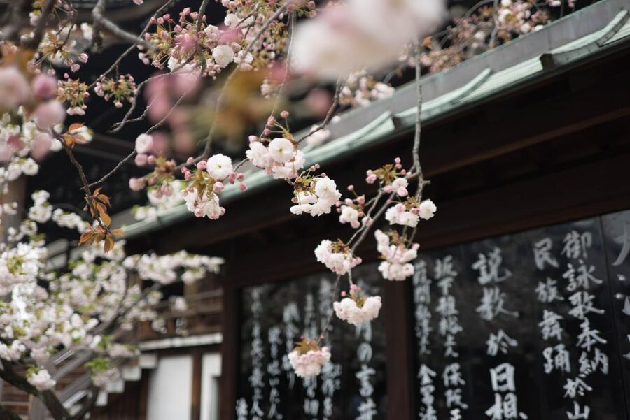 Tokyo to Kawagoe: Private Historical Day Trip - Local food, including eel and sweet potato treats