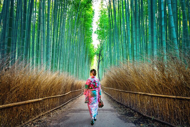 Tokyo to Kyoto 1-Full Day Private Guided Tour - Bamboo Forest, Nonomiya Shrine, and Tenryu-ji