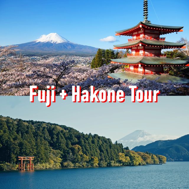 Tokyo to Mount Fuji and Hakone: Private Full-Day Tour - Why this Tokyo to Fuji day trip works