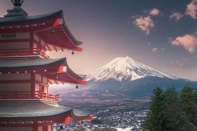 Tokyo To Mount Fuji Private English Guided Day Tour - Why private transport matters on a Mount Fuji day