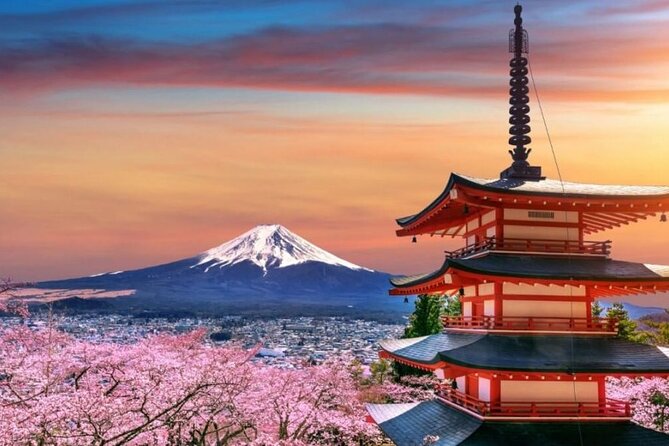 Tokyo To Mount Fuji Private English Guided Day Tour - The price makes more sense for six people