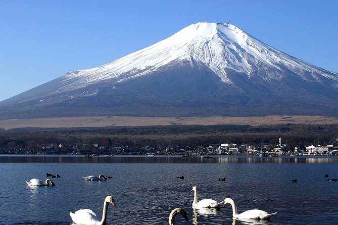 Tokyo To Mount Fuji Private English Guided Day Tour - Gotemba Premium Outlets changes the pace