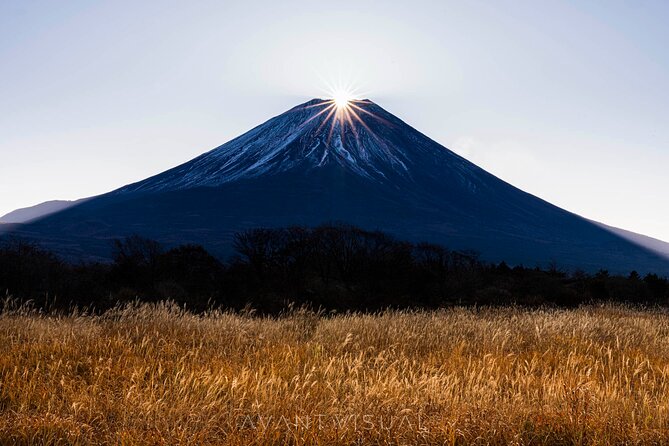 Tokyo To Mount Fuji Private English Guided Day Tour - Lake Kawaguchiko gives you the classic Fuji setting