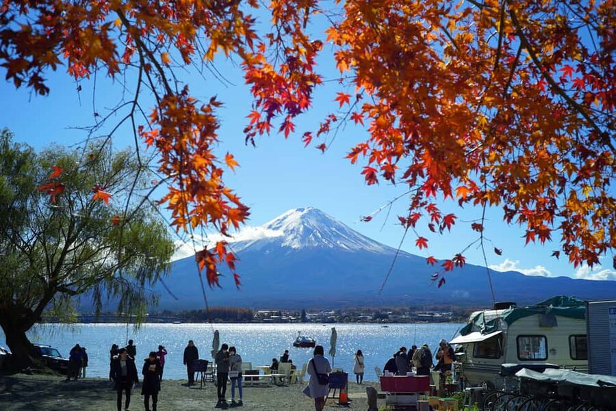 “Tokyo to Mt. Fuji & Hakone: Private Customizable Day Trip” - Who will get the most value