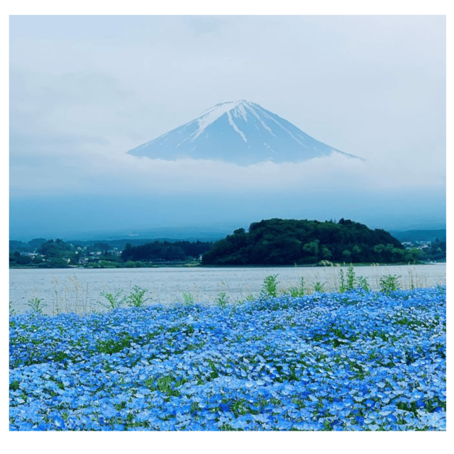 “Tokyo to Mt. Fuji & Hakone: Private Customizable Day Trip” - Hakone and Lake Ashi