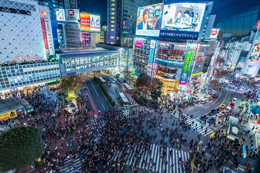 Tokyo: Tokyo Private Day Tour With Guide - The vehicle is the tour’s practical advantage